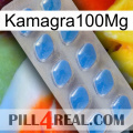 Kamagra100Mg 22